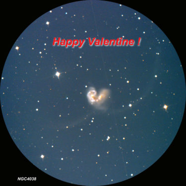 Happy Valentine