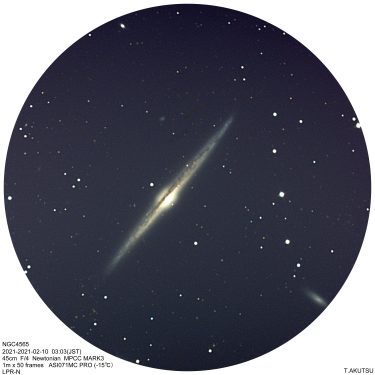 NGC4565